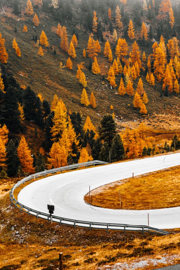 Austrian Nockalm Road in Fall Free Photo