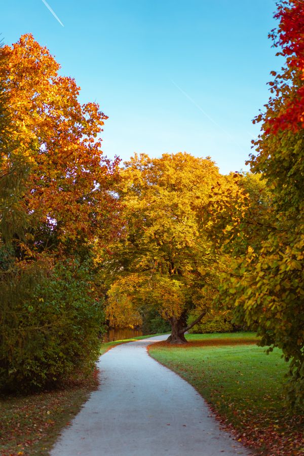 Beautiful Autumn Day in The Park Free Photo