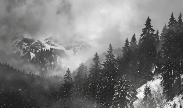 Black and White Photo of Bad Weather in Winter Mountains Free Image