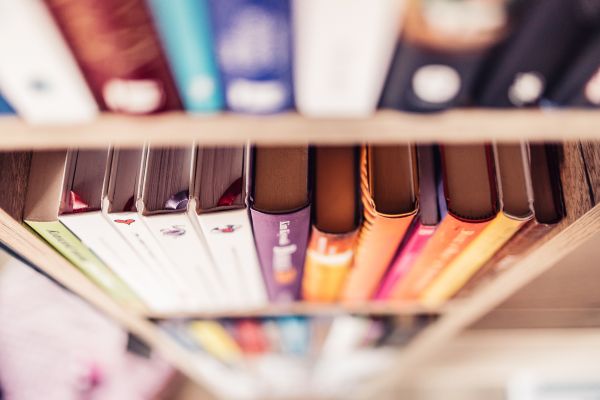 Books Shelf at Home Free Photo