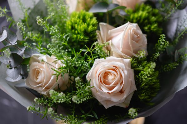 Bouquet of White Roses on International Women’s Day Free Photo