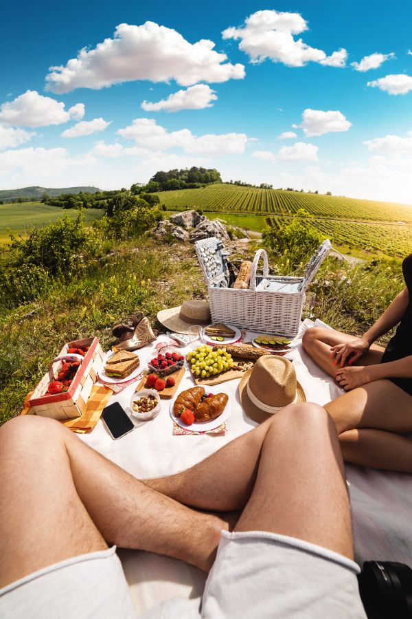 Couple Having a Summer Picnic Free Photo