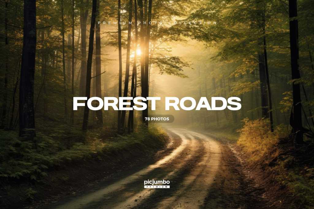 Forest Roads Photo Collection