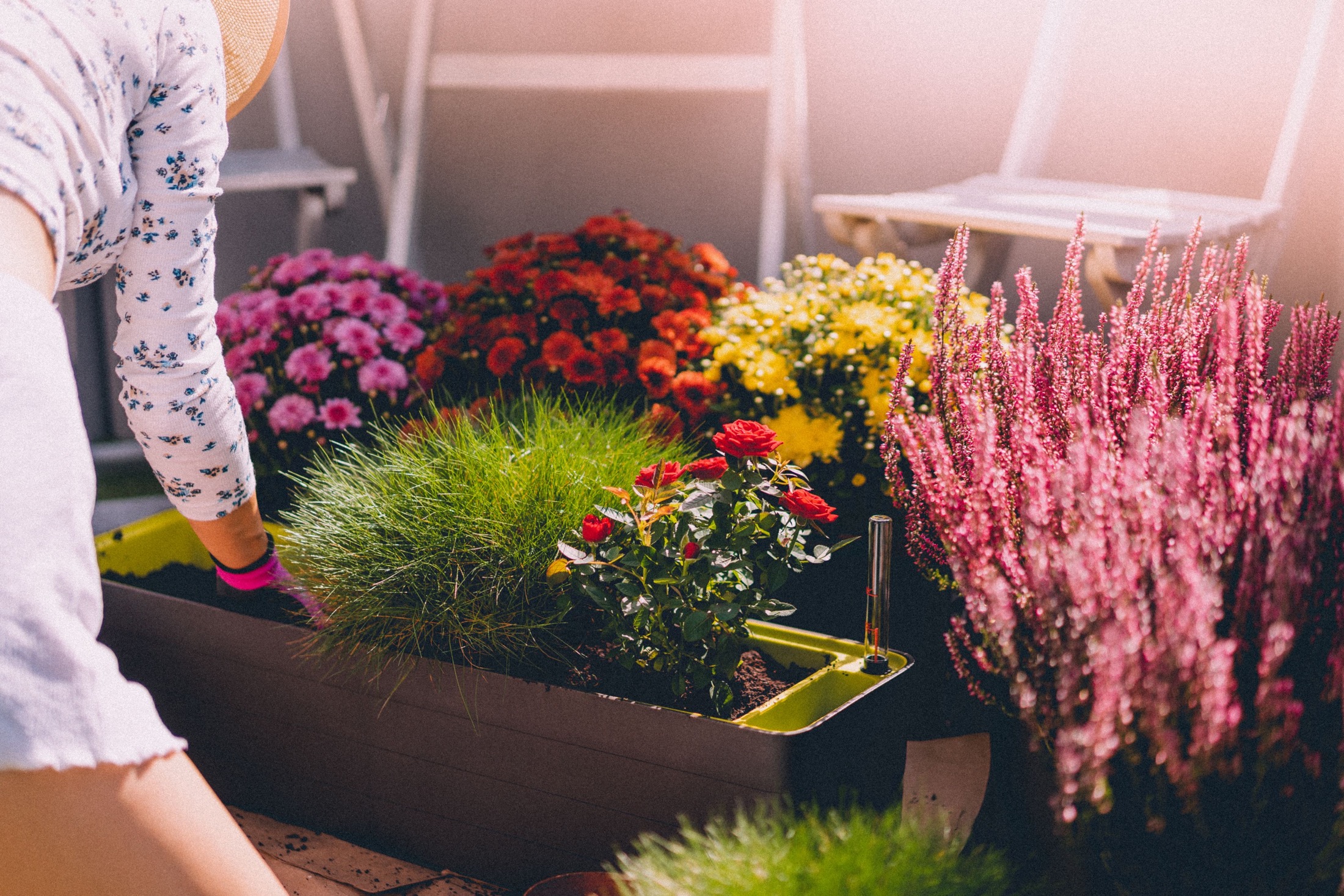 Gardening