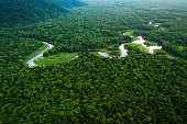 Atlantic Forest in Brazil, Mata Atlantica