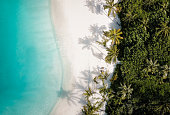 Tropical island palm tree beach from above