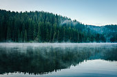 Morning fog over a beautiful lake surrounded by pine forest stock photo