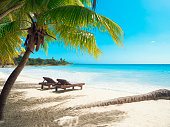 Tropical beach in caribbean sea, Saona island, Dominican Republic