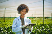 Shot young scientist using a digital tablet while working with crops on a farm