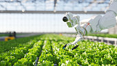 Hydroponic robot farming