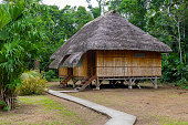 Amazon Rainforest Housing, Ecuador