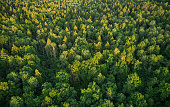 Beautiful aerial landscape on green backdrop. Beautiful scenery. Beautiful natural landscape. Natural background. Air transportation. Aerial view. Top view.