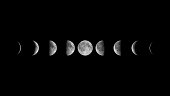 All phases of Moon: Waning Crescent, Third Quarter, Waning Gibbous, Full Moon, Waxing Gibbous, First Quarter and Waxing Crescent against black background