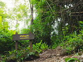 Forest trail in Phu Soi Dao National Park, Thailand. Location sign in Thai language translate in English is Noen Sang Kin (Name of hill) height 650 meters.