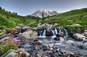 Mount Rainier Summer