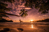 Carefree woman swinging above the sea at sunset beach.