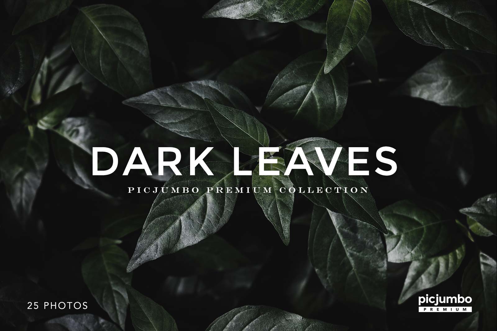 Download hi-res stock photos from our Dark Leaves PREMIUM Collection!