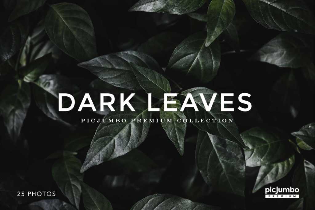 Dark Leaves Photo Collection