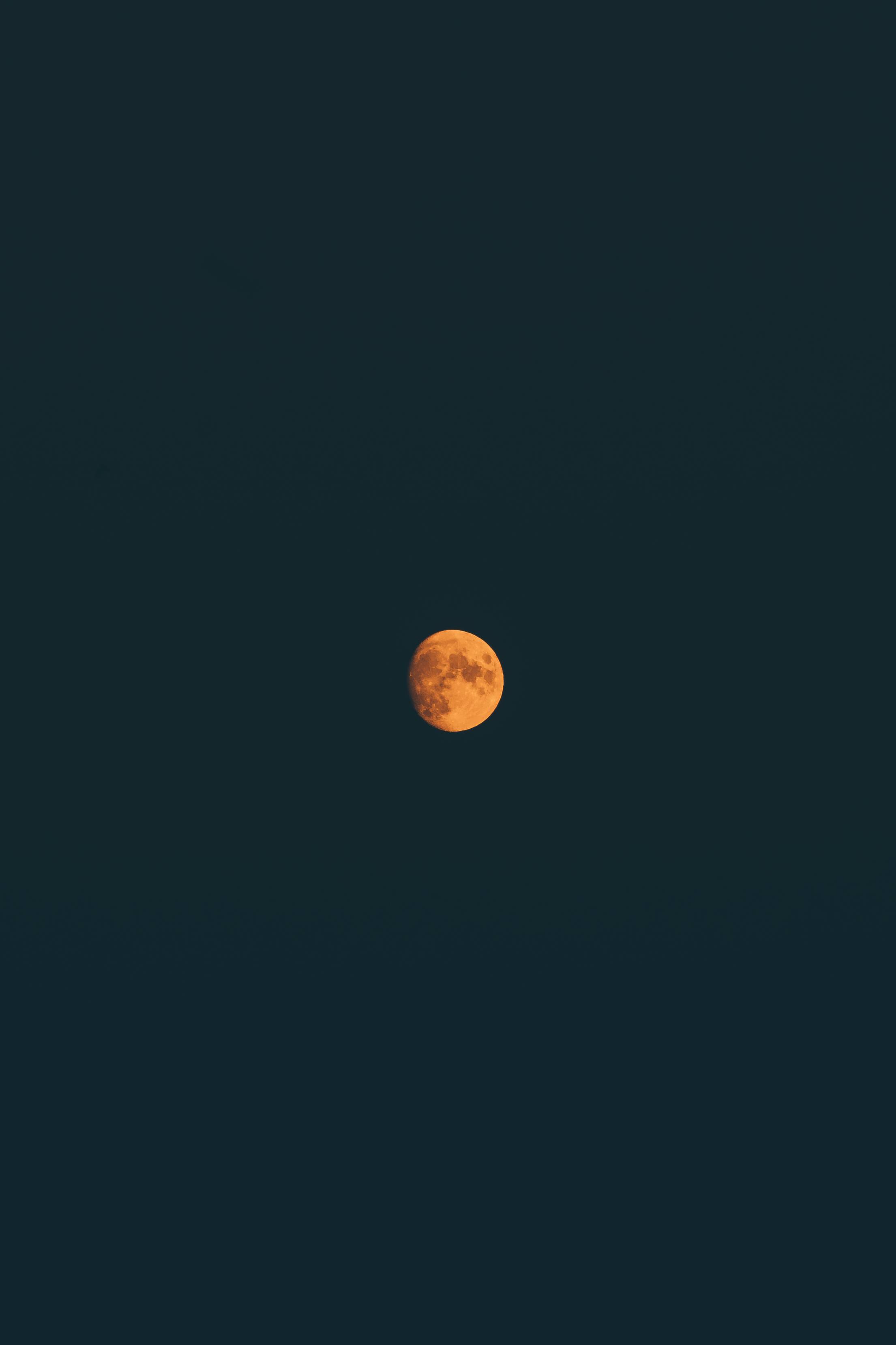 Orange Moon Free Photo