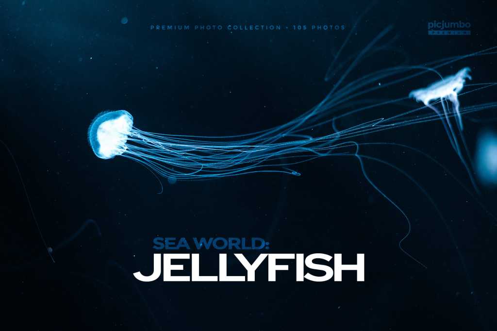 Sea World: Jellyfish Photo Collection