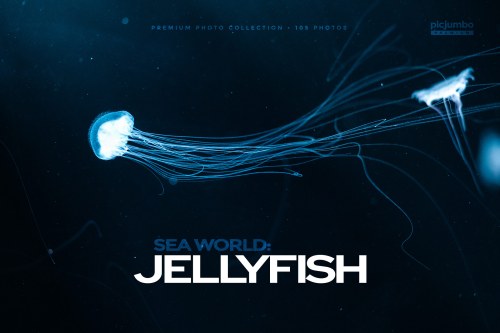 Sea World: Jellyfish Collection