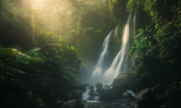 Waterfalls in Tropical Nature Free Image