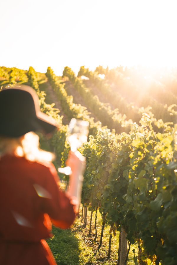 Woman Standing in The Vineyard Free Photo